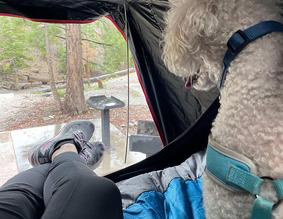 Finding Joy in the Simple Moments