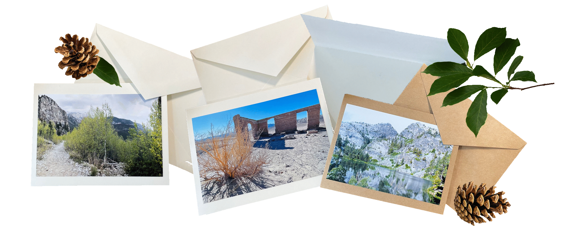 Greeting Card Banner.gif