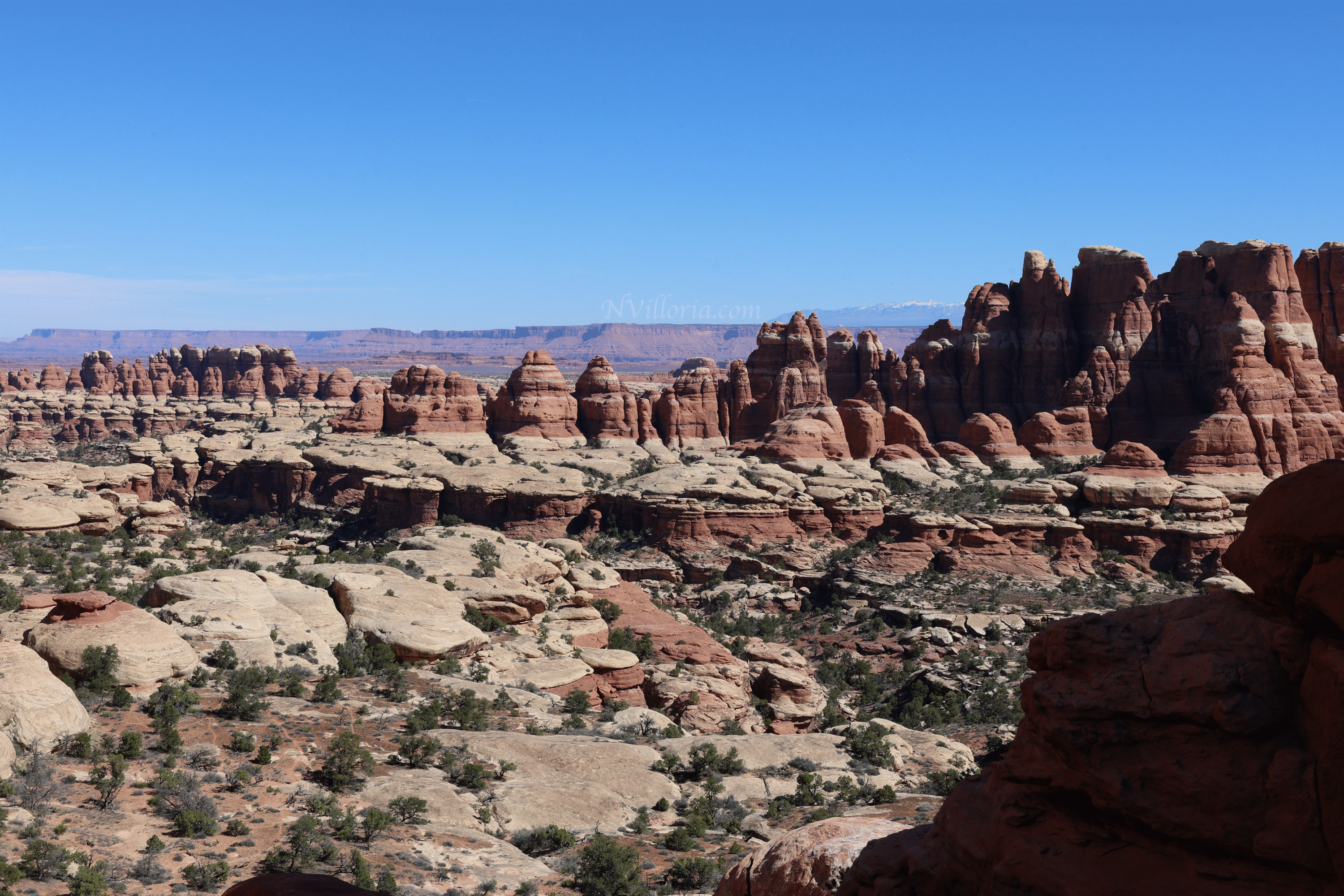 Trail views hiking the Needles District at Canyonlands National Park - via NVilloria.com
