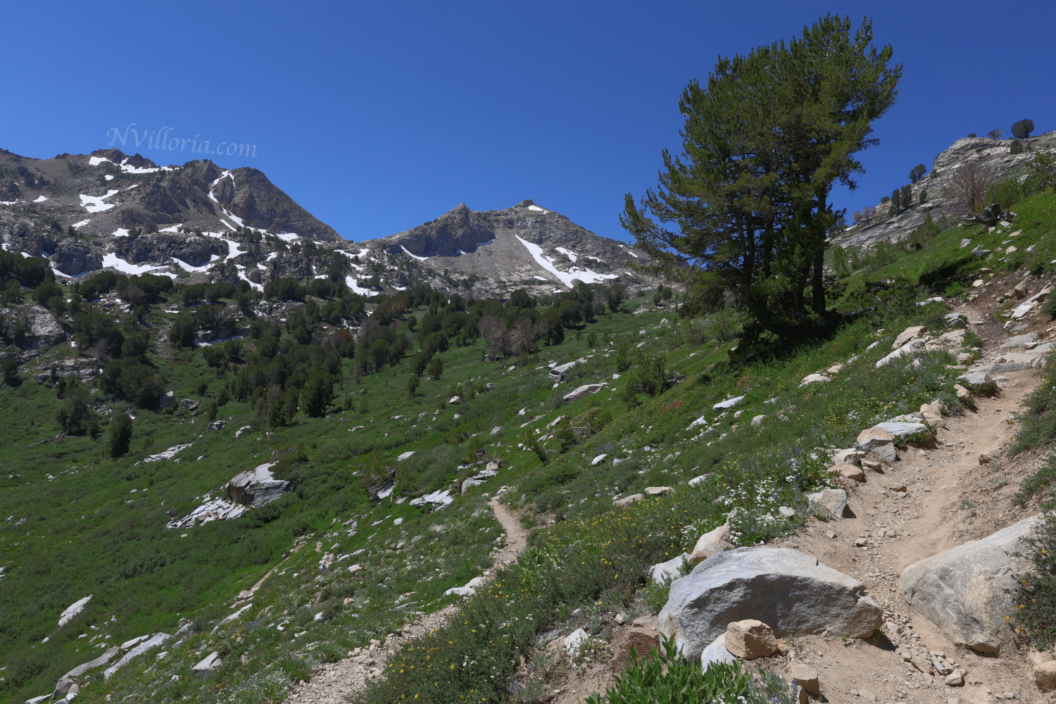 Landscapes at the Ruby Mountains - via NVilloria.com