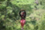 Canopy in lands in love