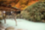 Tsurunoyo Onsen
