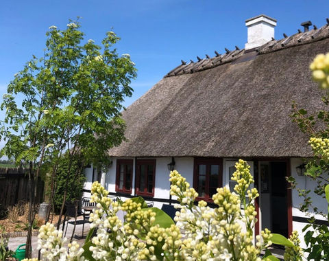 Skærmbillede 2021-11-17 kl. 11.06_edited.jpg