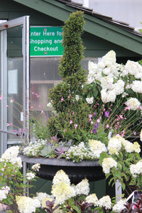 Container Gardening