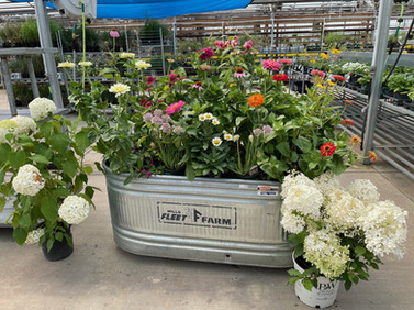 Container Planters