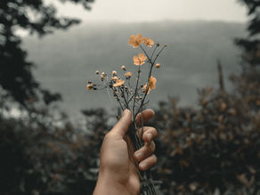 Wanneer liefde niet ontvangen lijkt te worden