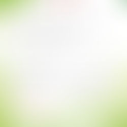 115年清明節連續假期及貨運作業說明