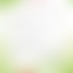 114年 光復節連續假期及貨運作業說明