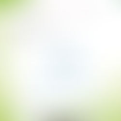 葉綠纖缺貨通知