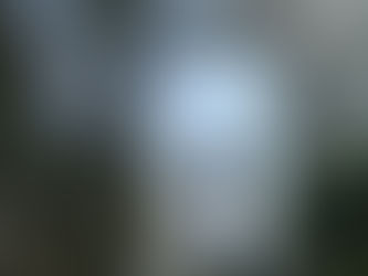 Puerto Vallarta and Industry 4.0 