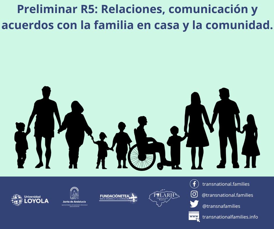 Resultado preliminar investigación NPE