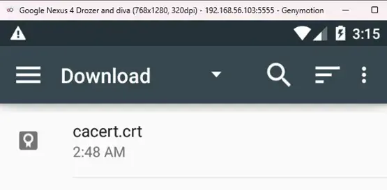 Certificate file visible and ready to install