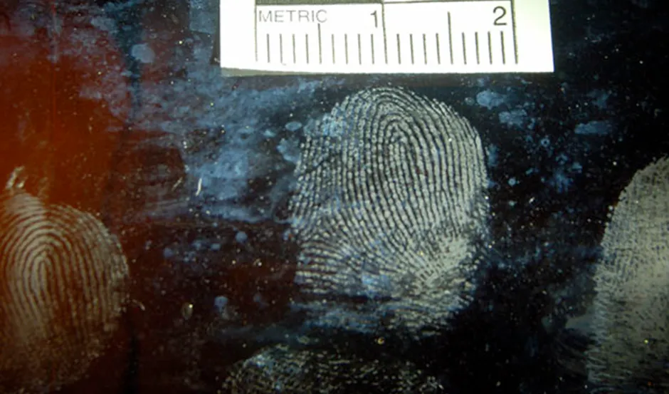 super glue fumes adhere to latent fingerprints on the neck of a glass bottle. (Courtesy of Scott Campbell, Ron Smith & Associates)