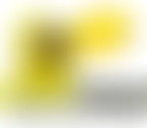 Canary Codes for Curious Minds