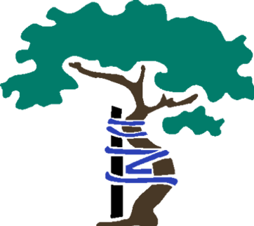 Orthopedic tree logo by JL Dobson