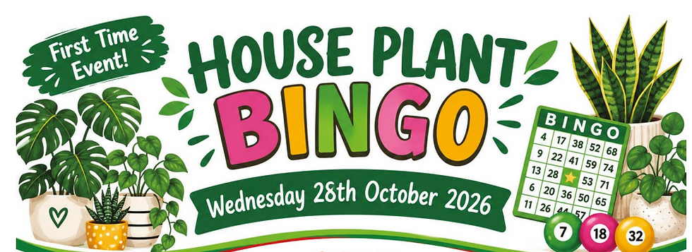 House Plant Bingo