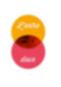 logo paics.png