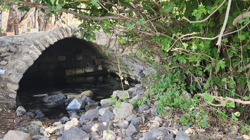 מצילים את עין פית