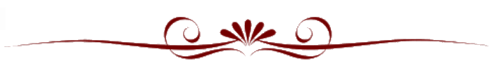 Paragraph divider 2.gif