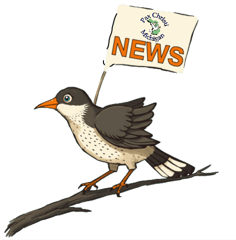 News bird.gif
