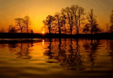 Lake Reflections.gif