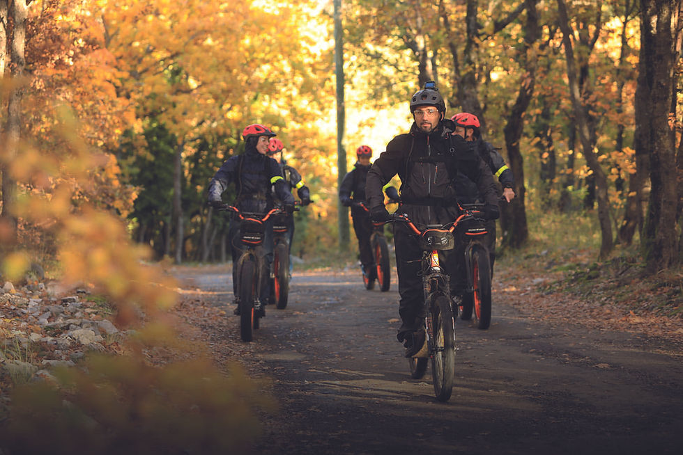 balade en trottinette électrique tout terrain sur Saint-Vallier-de-Thiey