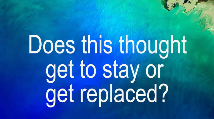 images (23).jpeg