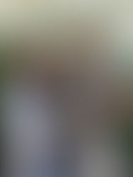 Madison and Cameron's Story