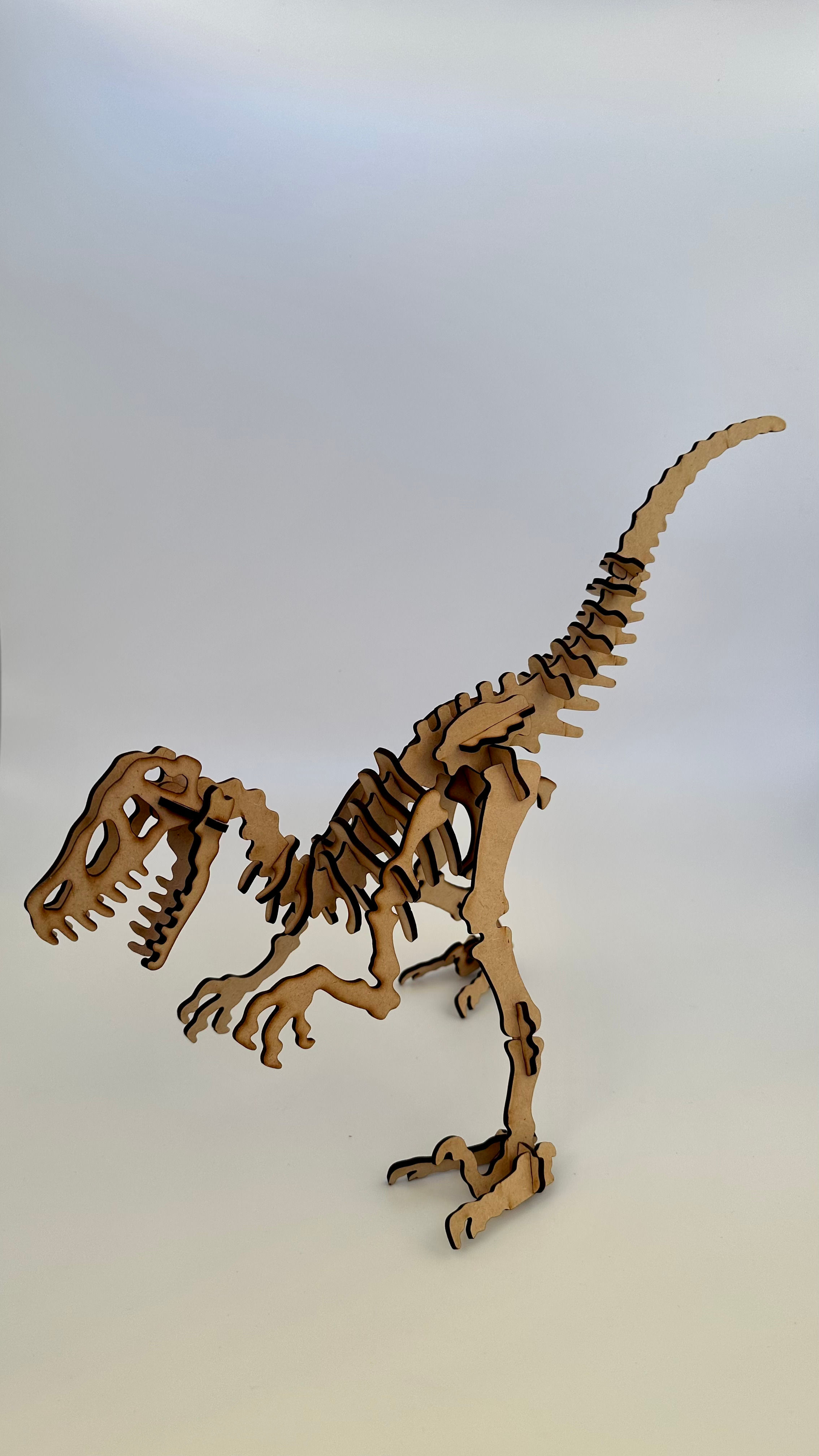RAPTOR