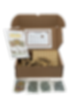 KIT ANIMAIS