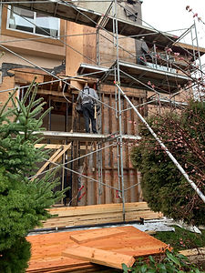 IMG_1203.jpeg