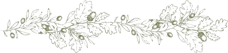 Teste borda_edited.png