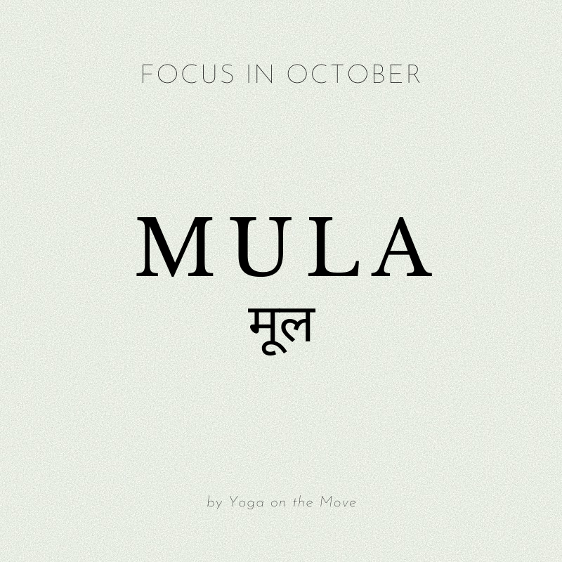Focus Of The Month October Focus Of The Month October