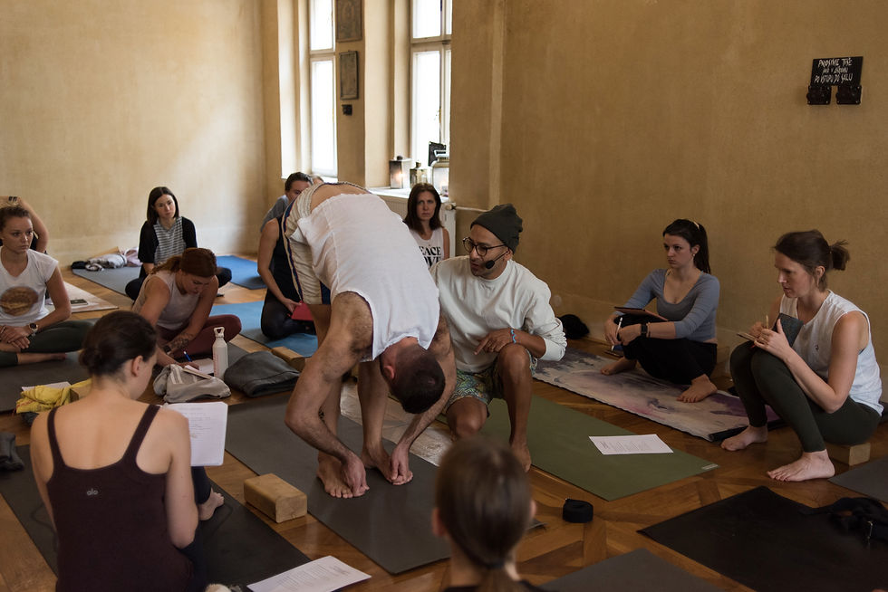 Yoga Assists - 10h Intensive