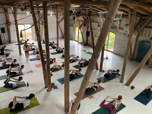 Yogalehrer, Yoga for Future, Vinyasa Yoga, Privatyoga, Full Moon Yoga