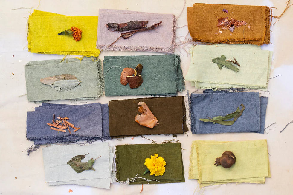 Colorway of natural dyes