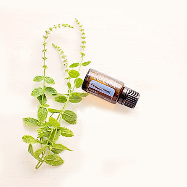 Extraction methods for essential oils