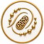 ChatGPT Image Jun 8, 2026, 10_03_38 AM.png