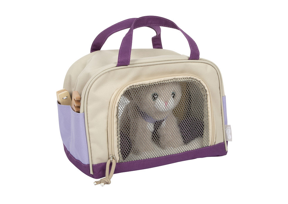 Miniaturbild: Katze mit Tasche und Pflege-Set weiÃŸ