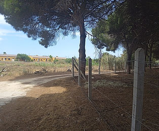 Pinar_Caslanco,_2,.jpg