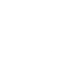 IMG_0231.png