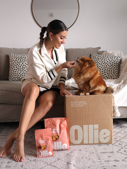 My Pomeranian diet, Ollie.