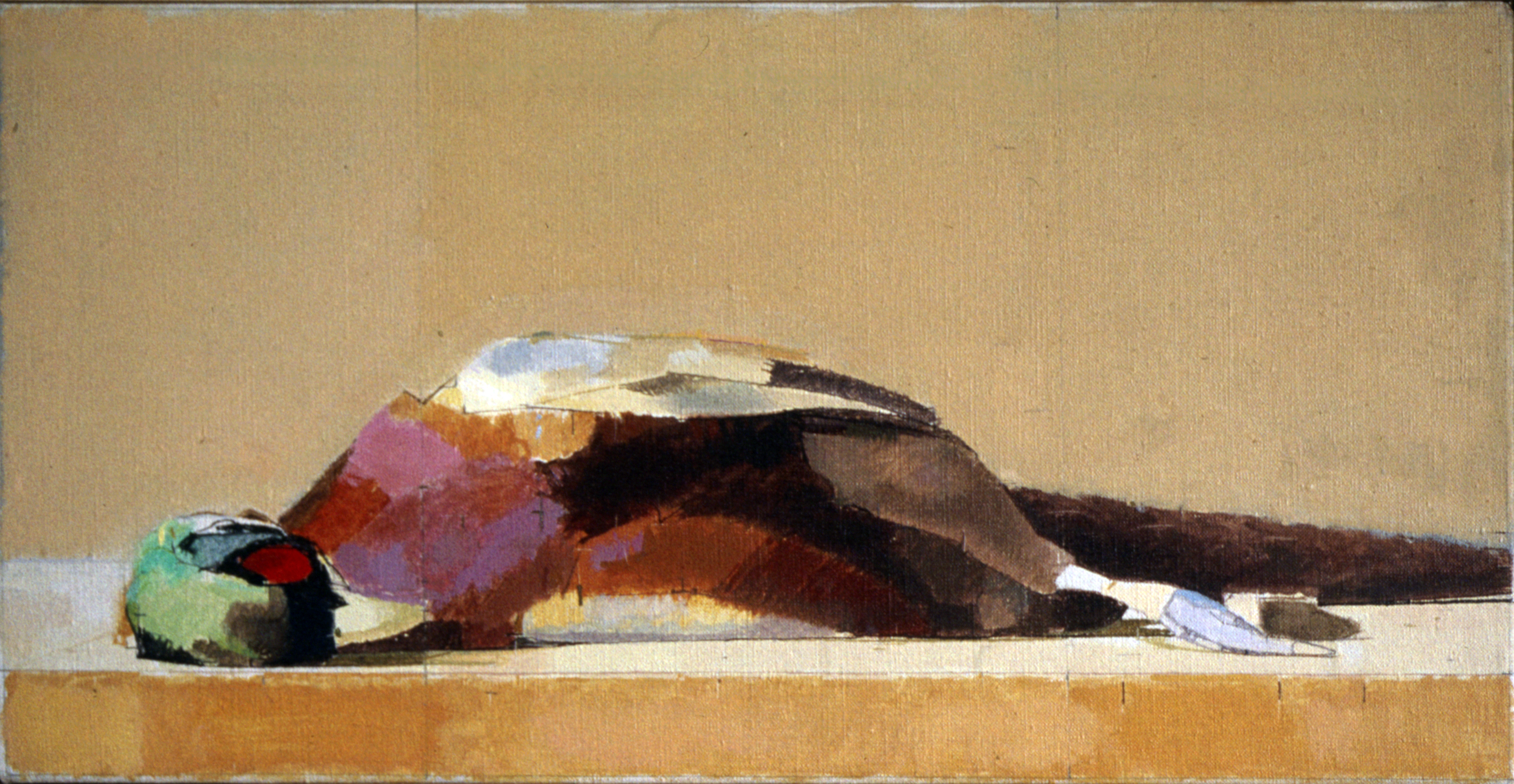 Pheasant