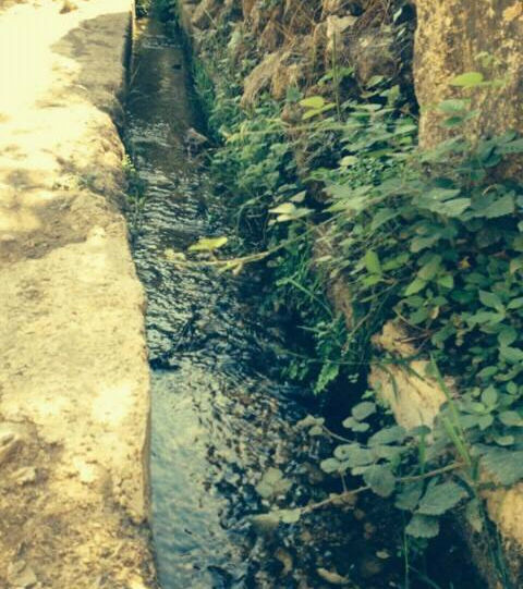 יוצאים לטייל