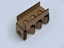 Z-Cradle Egg Packaging
