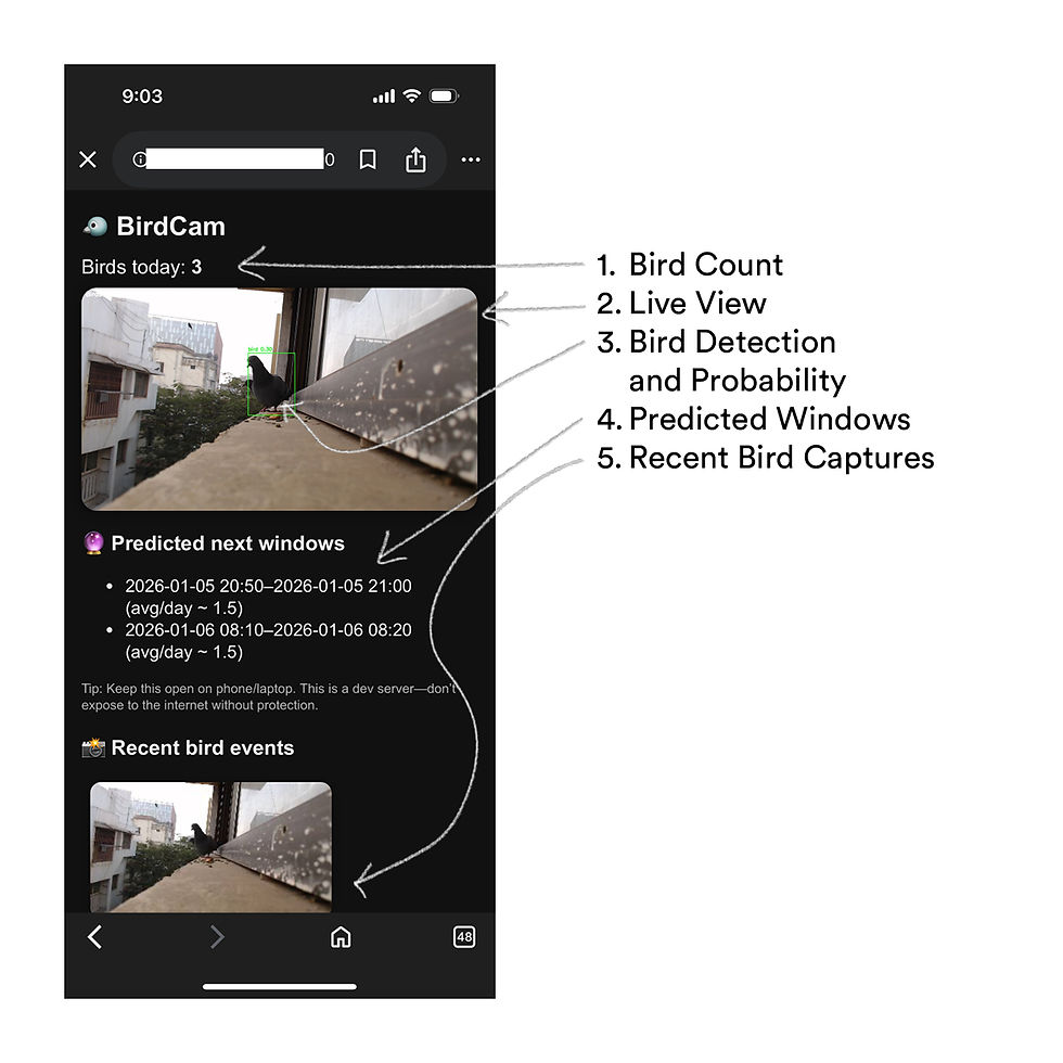 Bird Cam app interface showing live bird view, count of 3. Includes predicted bird visit times and recent capture images, urban background.