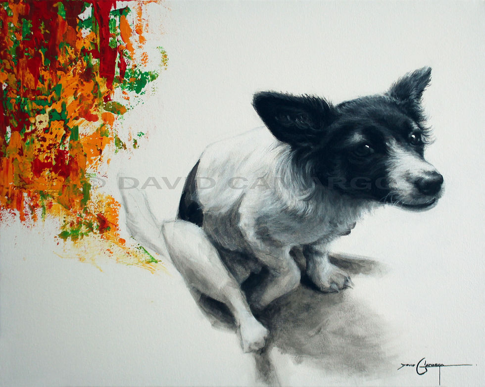DOGGIE ©