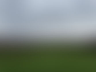 A picture of a green hill surrounded by forest on a cloudy day