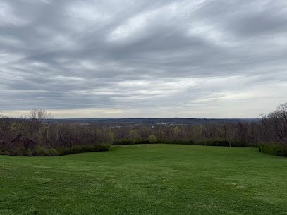 A picture of a green hill surrounded by forest on a cloudy day