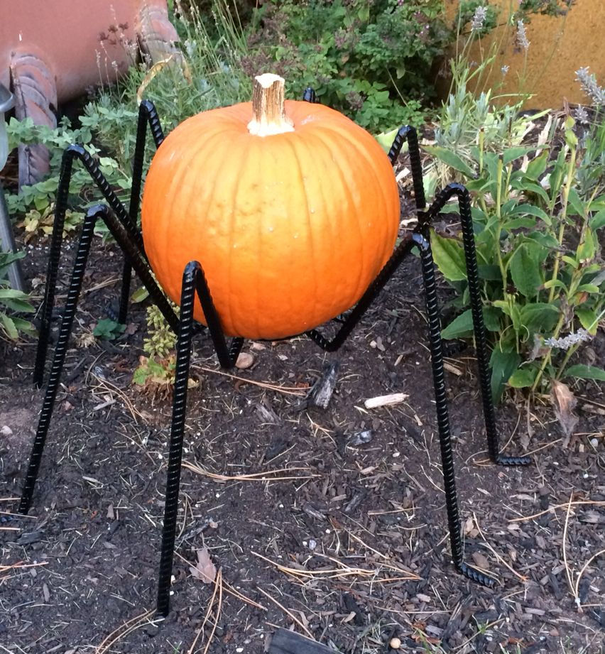 Spider Pumpkin Holder